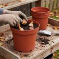 Vaso per piante in plastica Ø29 cm 10 pezzi | Floristik24.it