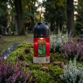 Candela tombale Candela commemorativa compostabile rossa ICP H20 cm | Floristik24.it