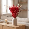 Erba decorativa rossa, Lagurus, erba vellutata, composizioni di fiori secchi L20–50cm 25g | Floristik24.it
