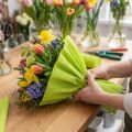 Carta crespa fiorista May green 50x250cm | Floristik24.it