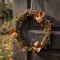 Ghirlanda decorativa, naturale, Ø33cm, licheni, muschio, ghirlanda per porta, decorazione per tavolo, decorazione per pareti | Floristik24.it