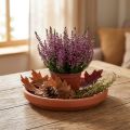 Sottobicchiere in terracotta, vaso in ceramica Ø17,5cm | Floristik24.it
