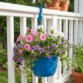 Cesto sospeso 25 cm blu | Floristik24.it