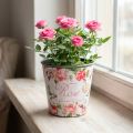 Fioriera, secchio per piantare, fioriera con rosa H13cm Ø13,5cm | Floristik24.it