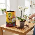 Terriccio per orchidee FRUX (5 litri) | Floristik24.it