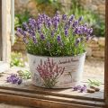 Fioriera in plastica color lavanda rotonda Ø21cm H11cm | Floristik24.it