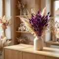 Violetta vellutata, erba coda di lepre, Lagurus L20-50cm 25g | Floristik24.it