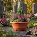 Ciotola per piante in plastica Ø20cm ciotola per fiori terracotta 5 pezzi | Floristik24.it