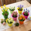 Vaso per fiori in plastica Ø12cm 25 pz | Floristik24.it