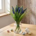 Giacinti d'uva 28cm - 30cm Blu 15 pz | Floristik24.it