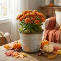 Secchio per piante con decorazione a foglia, vaso in metallo, autunno dorato Ø18cm H17cm | Floristik24.it