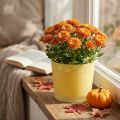 Vaso per fiori in vetro vaso per piante giallo vasca in vetro Ø14,5 cm H12,5 cm | Floristik24.it