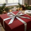 Nastro natalizio Nastro Buon Natale Argento Bianco 10mm 20m | Floristik24.it