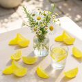 Decorazione di fette di limone artificiali, 24 pezzi, decorazione estiva per la tavola | Floristik24.it