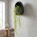 Pianta artificiale di miglio verde setoloso per eleganti decorazioni sospese, eleganti accenti per la stanza, 114 cm | Floristik24.it
