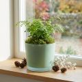 Vaso di fiori in vetro vaso di vetro verde fioriera Ø14,5 cm H12,5 cm | Floristik24.it