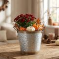 Vaso decorativo con manici, secchio per piante, contenitore in metallo, argento, acciaio anticato, Ø17cm H16.5cm | Floristik24.it
