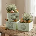 Cassetta per piante cassetto decorativo shabby verde 15-23cm set di 3 | Floristik24.it
