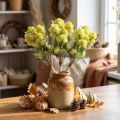 Fiori artificiali di Sedum Stonecrop verde gallina grassa 41 cm 3 pezzi | Floristik24.it