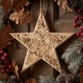 Stelle con corteccia rustica Addobbi natalizie Legno Ø20cm | Floristik24.it