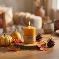 Candela a colonna PURE giallo miele Candele Wenzel 90×70 mm | Floristik24.it