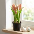 Tulipani artificiali in vaso Tulipani Fiori artificiali pesca 22 cm | Floristik24.it