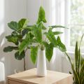 Mazzo di edera dorata artificiale rilegatura verde 40cm | Floristik24.it