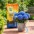 Terriccio Frux per ortensie blu, terriccio speciale, 18 l | Floristik24.it