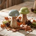 Funghi in legno funghi decorativi legno grigio verde Ø6cm H10cm 2 pezzi | Floristik24.it
