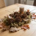 Coni di cedro tagliati a rosa