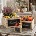 Scatole rustiche in legno con superficie lavagna – naturali e nere, varie dimensioni – soluzione organizzativa versatile – set da 3 | Floristik24.it