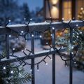 Catena luminosa a LED per riso 40s 3m per esterno bianco freddo | Floristik24.it