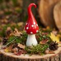 Deco Fly Agarico Ceramica Deco Fungo Rosso Bianco Ø6.5cm H21cm | Floristik24.it