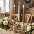 Candele coniche Candele Wenzel beige 250/23mm 12 pz | Floristik24.it