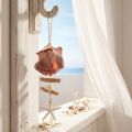 Appendiabiti decorativo marittimo conchiglia stella marina Ø10–12 cm 40 cm | Floristik24.it