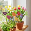 Tappi per fiori con decorazione primaverile, decorazione per uccelli in legno, 28 cm, 18 pz | Floristik24.it