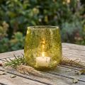 Lanterna in vetro decorazione vintage giallo verde Ø12cm H12,5cm | Floristik24.it