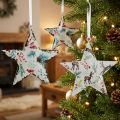 Decorazioni natalizie: stella, cervo, rami di pino, bacche, Ø8cm, set di 6 ganci decorativi, decorazioni per l'albero di Natale | Floristik24.it