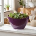 Ciotola decorativa per barchetta per piante viola 20×9 cm H12 cm | Floristik24.it