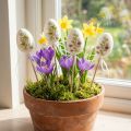 Uova di Pasqua decorazione pasquale in plastica tappi per piante H6cm 12 pezzi | Floristik24.it
