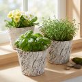Vaso per piante effetto corteccia, ideale per interni rustici e decorazioni vegetali, 12 cm, 4 pezzi | Floristik24.it