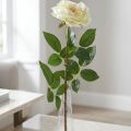 Rosa artificiale, rosa decorativa, fiore di seta bianco crema, verde L72cm Ø12cm | Floristik24.it