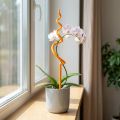 Tutore per orchidee, plastica, arancione, supporto per orchidee, altezza 64 cm | Floristik24.it