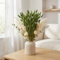 Erba coda di coniglio (Lagurus) verde decorativo essiccato 50-60 cm 50 g fiori secchi | Floristik24.it