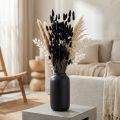 Lagurus hare's tail grass, nera, decorativa, essiccata, 60 cm, 50 g | Floristik24.it