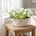 Cestino con manici, cestino in truciolato, cestino per piante, bianco, vintage, decorativo, Ø35cm | Floristik24.it