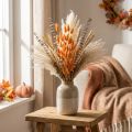 Lagurus Erba di coda di coniglio essiccata Albicocca Fiori secchi decorativi 55-60 cm 50 g | Floristik24.it