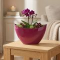 Ciotola decorativa per barchetta per piante Berry 20×9cm H12cm | Floristik24.it