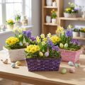 Cestino per patatine quadrato viola/bianco/rosa 6 pz | Floristik24.it