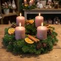 Candele natalizie rosa, candele a colonna, set da 4, decorazione invernale Ø5cm H6cm | Floristik24.it